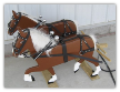 Team of Belgian Horses  w/ Harness