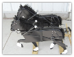 Team of Perchron Horses w/ Harness