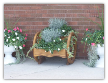Two Teired Wheel Planter
